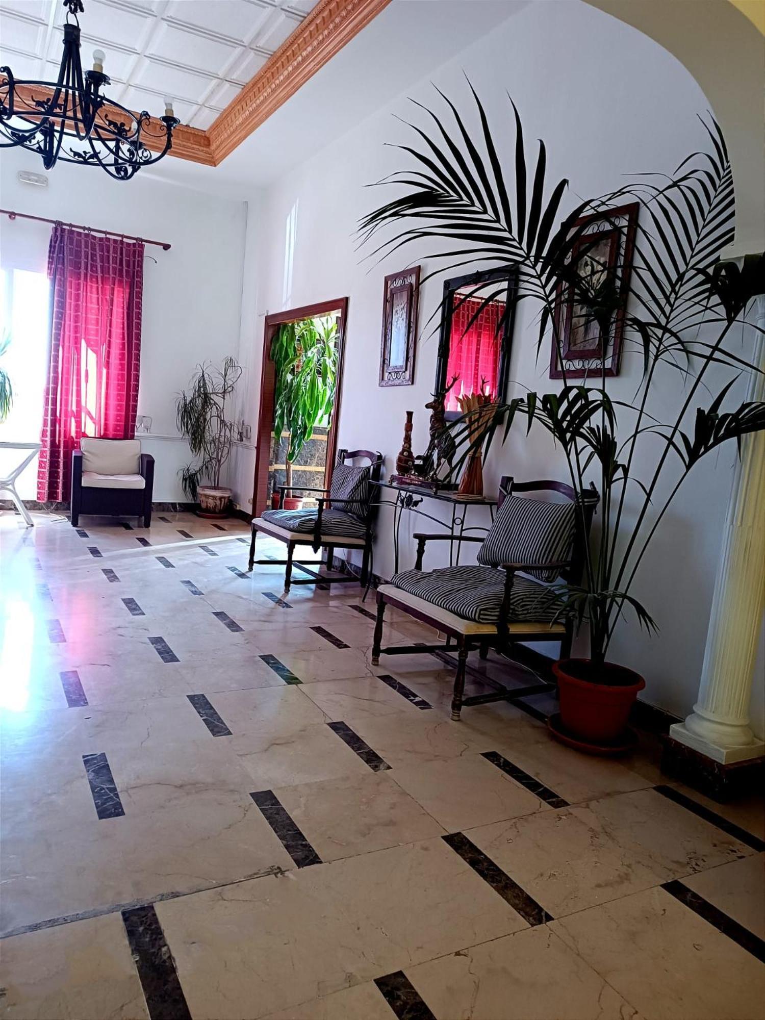 Hostal El Lirio Bollullos Par del Condado Luaran gambar